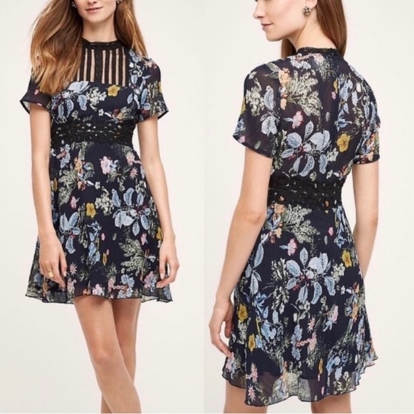 foxiedox Dresses & Skirts - Anthropologie Foxiedox Dress! New With Tags!